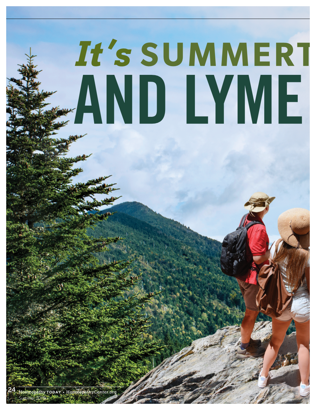 Summertime... and Lyme Time