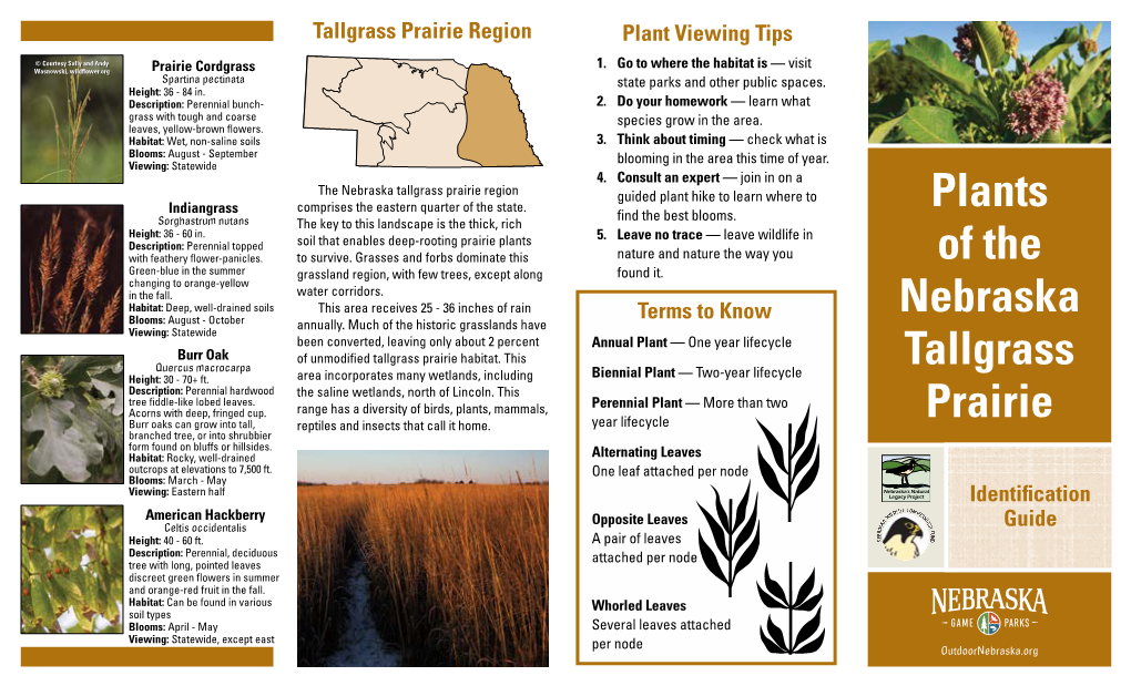 Plants of the Nebraska Tallgrass Prairie