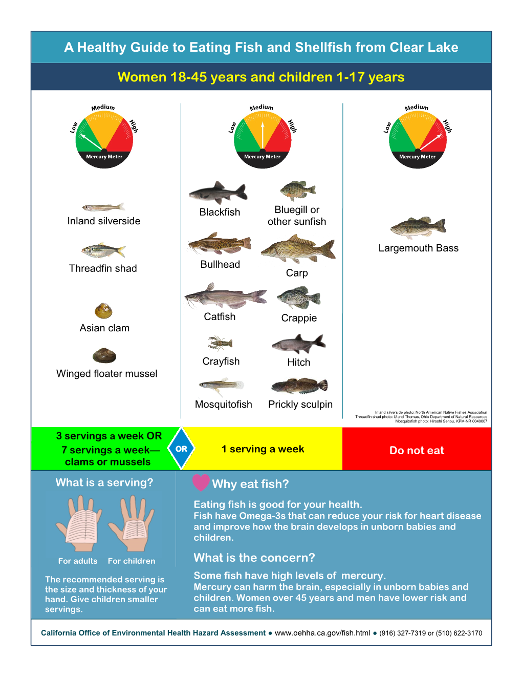 A Healthy Guide to Eating Fish from Clear Lake, Lake County, California