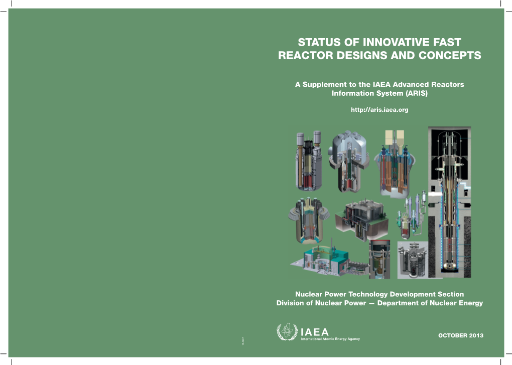Status of Innovative Fast Reactor Designs and Concepts