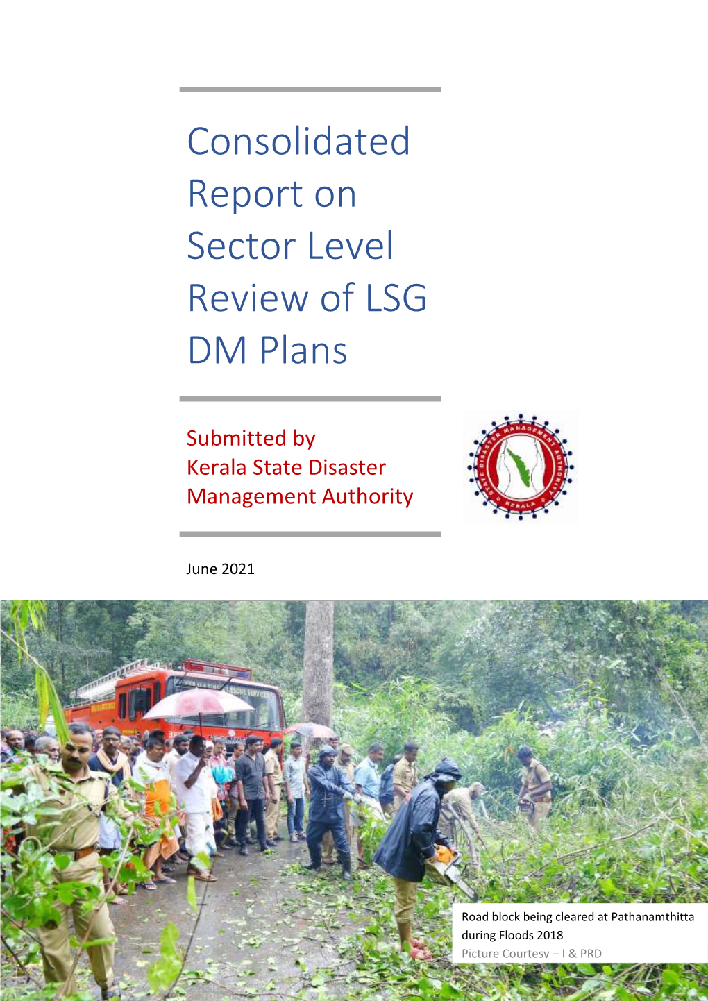 Consolidated Report on Sector Level Review of LSG DM Plans