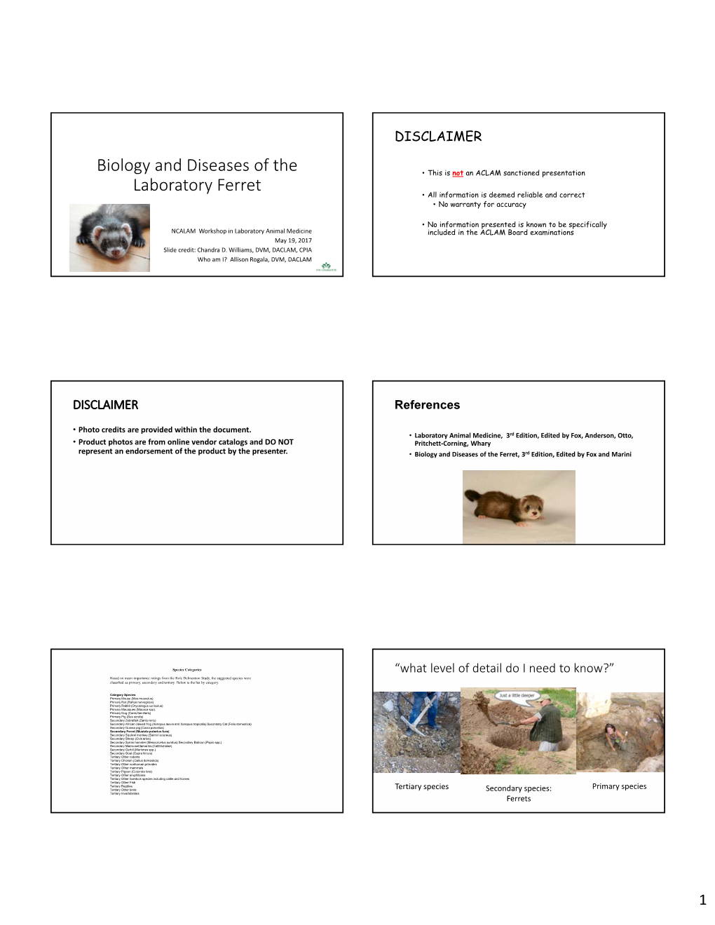 Biology and Diseases of the Laboratory Ferret