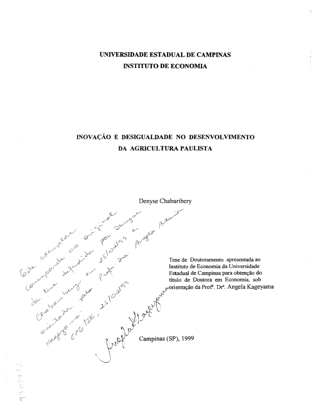 ~:R"\L ~Lfc '\IY Campinas (SP), 1999 \ Rl'nf · \ L -0 FICHA CATALOGRÁFICA ELABORADA PELO CENTRO DE DOCUMENTAÇÃO DO INSTITUTO DE ECONOMIA