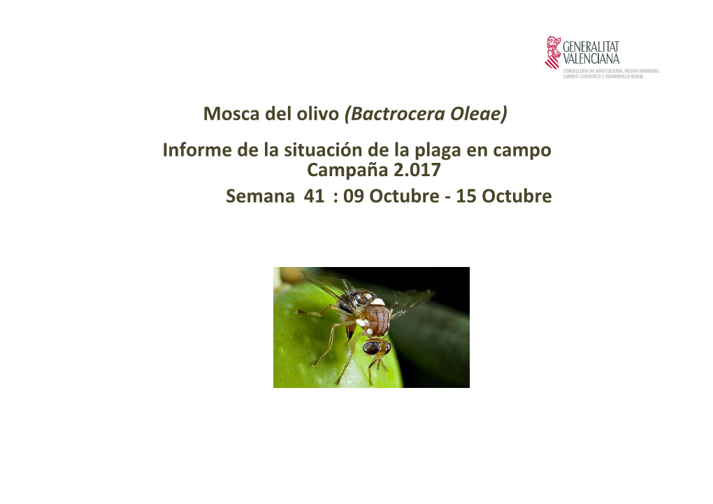 Semana 41 : 09 Octubre - 15 Octubre Red De Monitorización Mosca Del Olivo (Bactrocera Oleae) Porcentaje De Trampas Contadas: 100,00% Índice