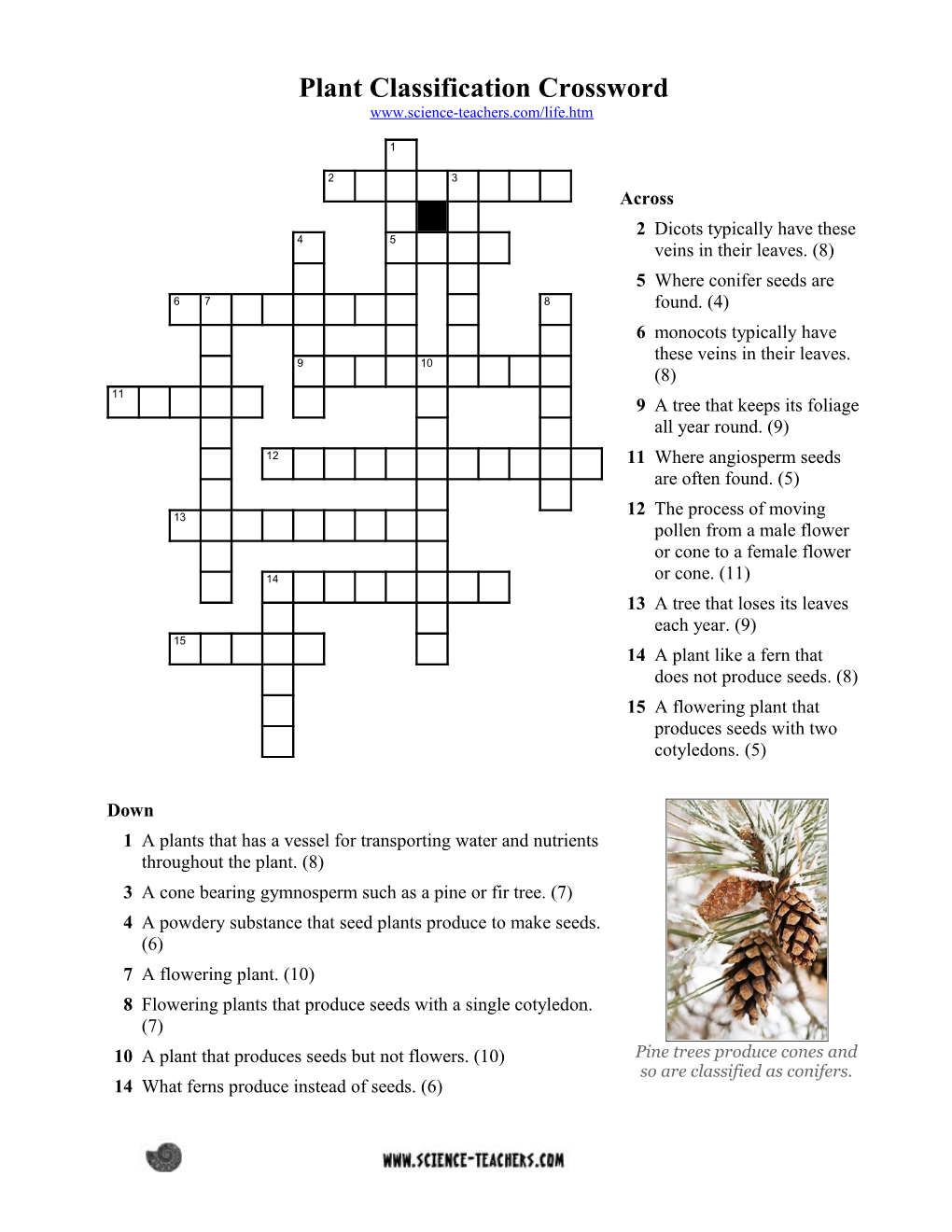 Plant Classification Cloze