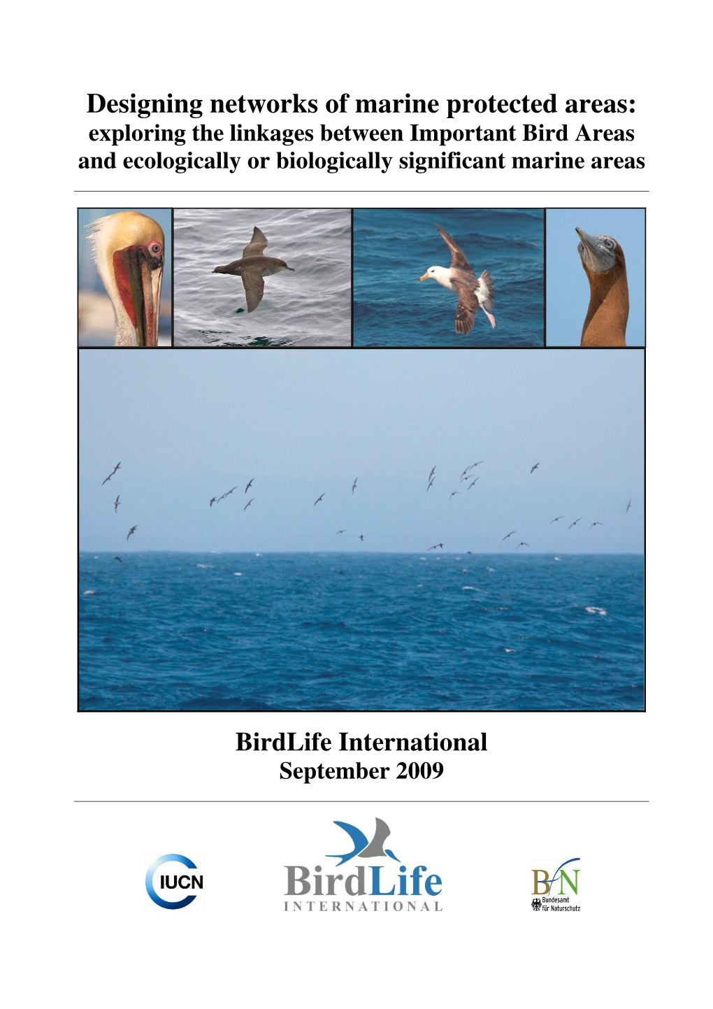 Designing Networks of Marine Protected Areas: Exploring the Linkages Between Important Bird Areas and Ecologically Or Biologically Significant Marine Areas
