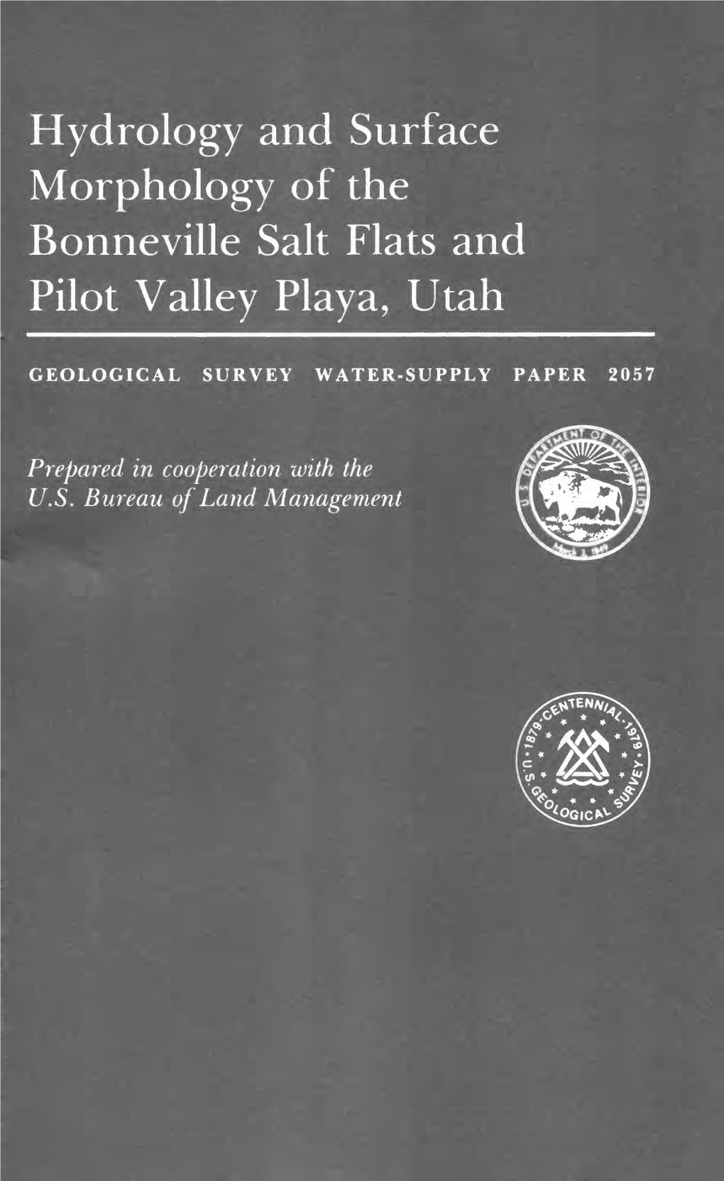 Hydrology and Surface Morphology of the Bonneville Salt Flats and Pilot Valley Playa, Utah