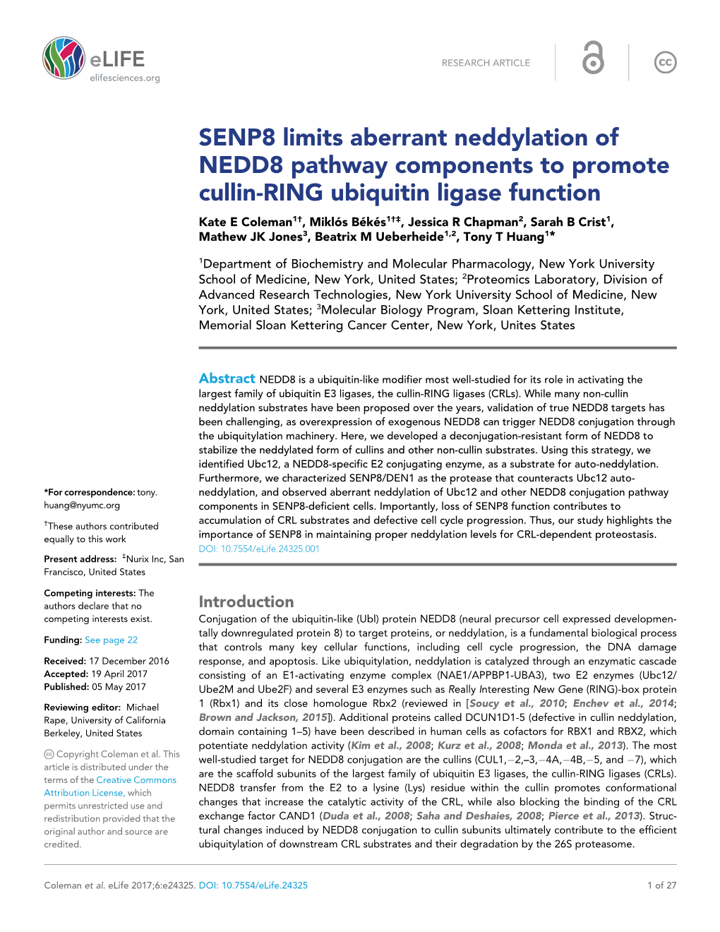 SENP8 Limits Aberrant Neddylation of NEDD8 Pathway Components To