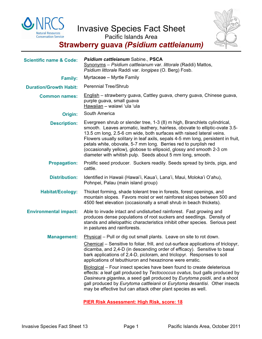 Strawberry Guava (Psidium Cattleianum)