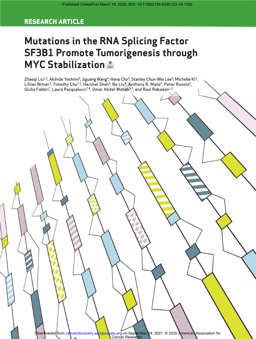 Mutations in the RNA Splicing Factor SF3B1 Promote Tumorigenesis Through MYC Stabilization