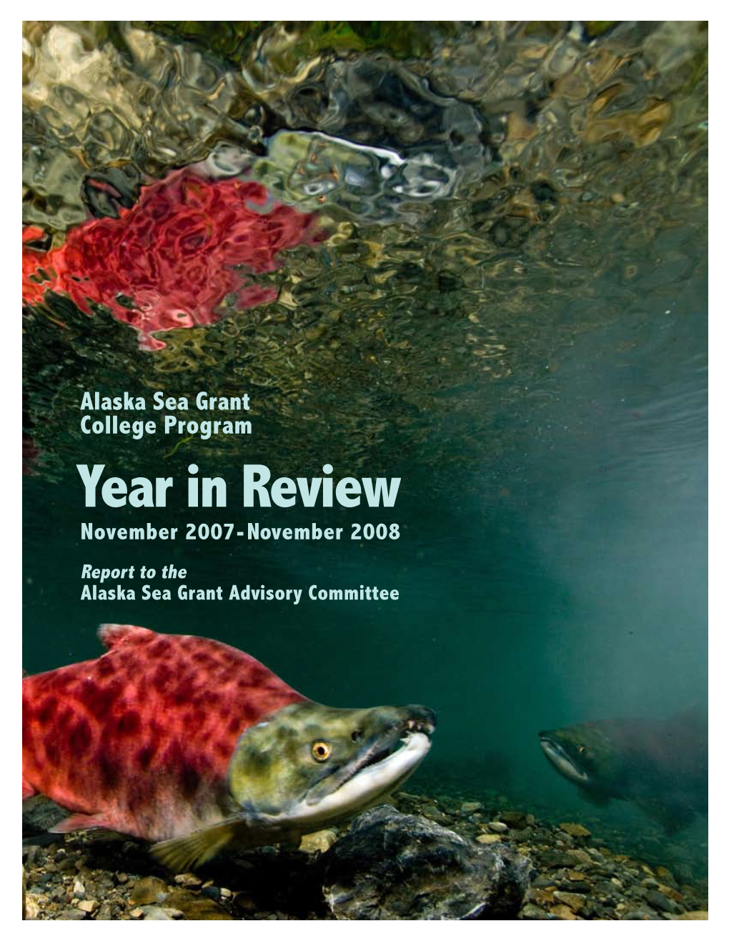 2008 Annual Report