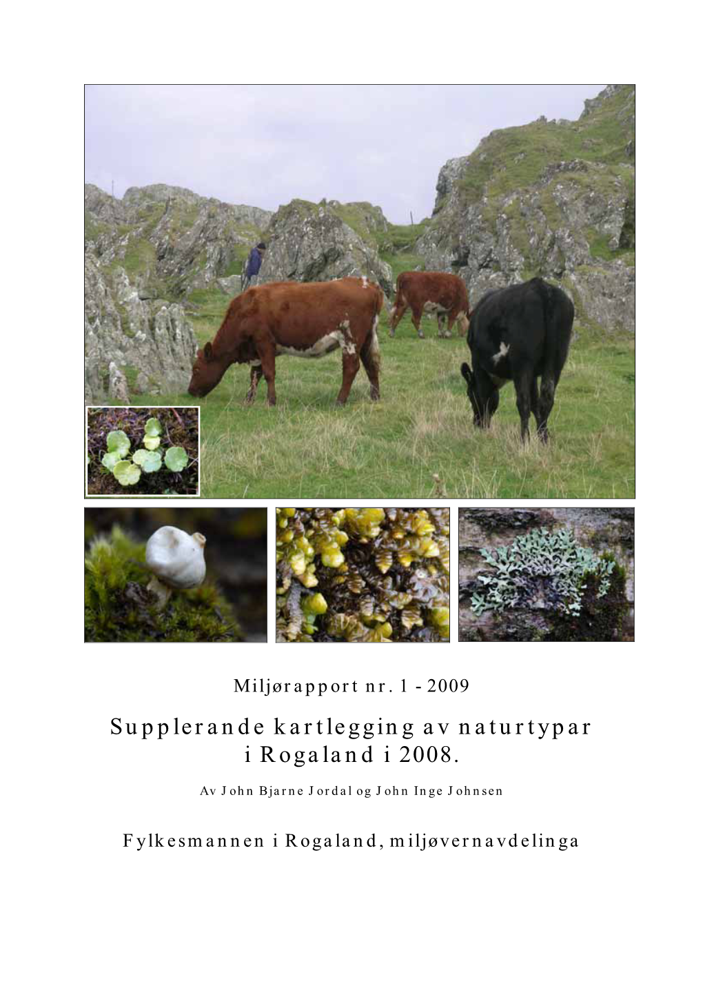 Supplerande Kartlegging Av Naturtypar I Rogaland I 2008