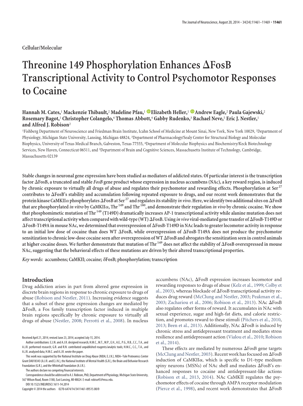 Threonine 149 Phosphorylation Enhances Fosb Transcriptional