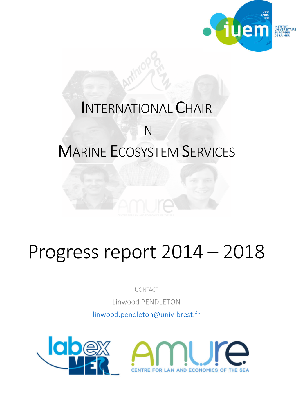Progress Report (2014-2018) of the IC-MES
