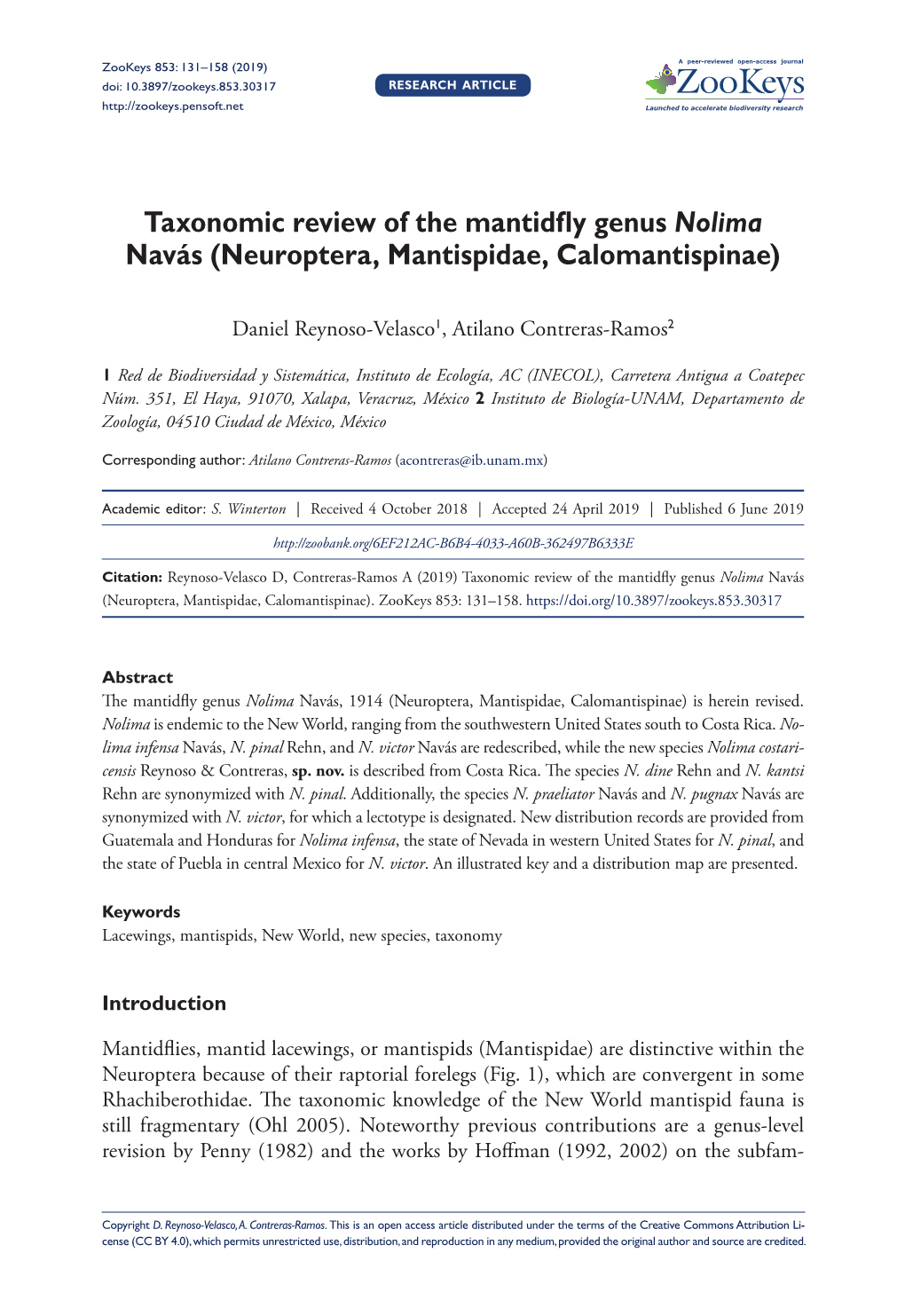 Taxonomic Review of the Mantidfly Genus Nolima Navás (Neuroptera, Mantispidae, Calomantispinae)