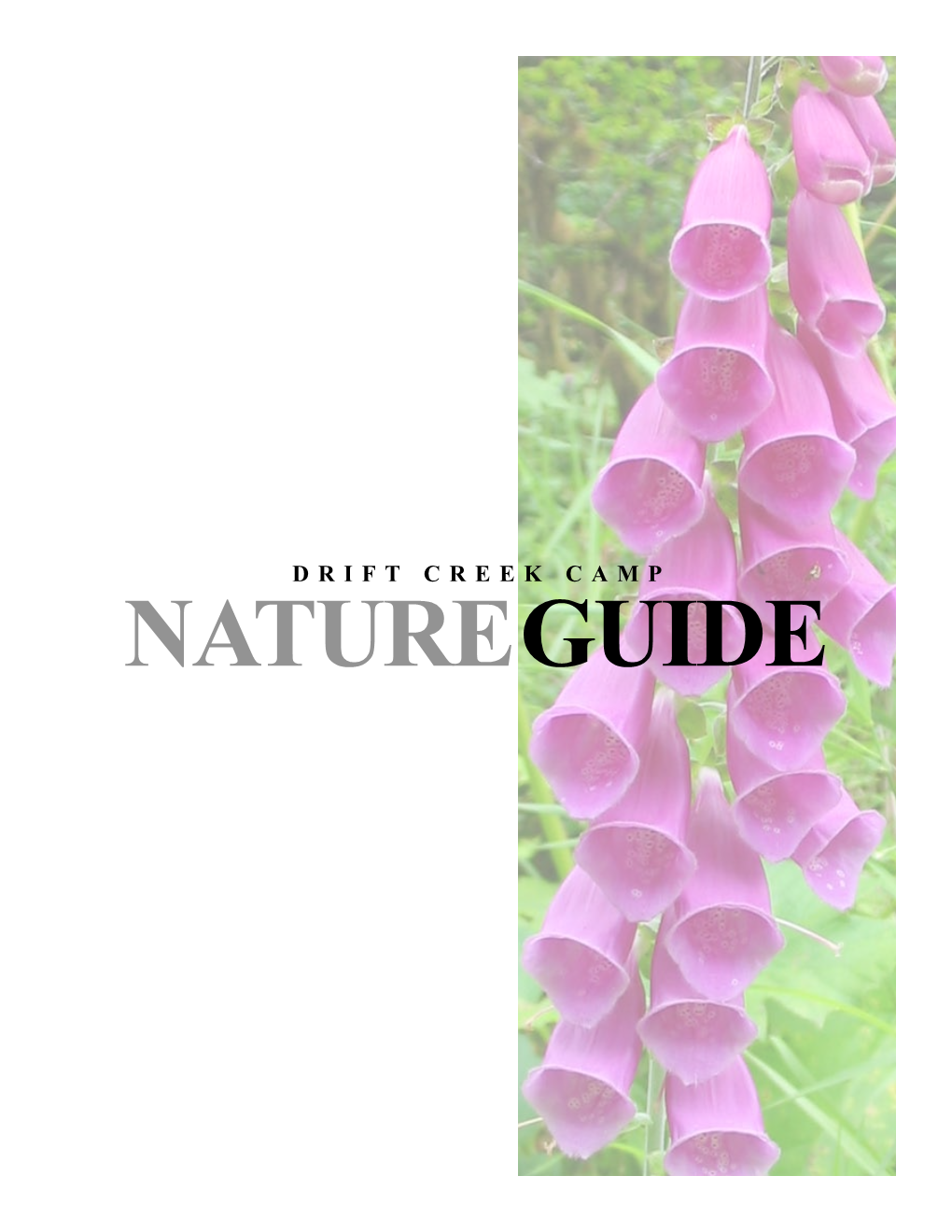 DCC Nature Guide Ver 2.Indd