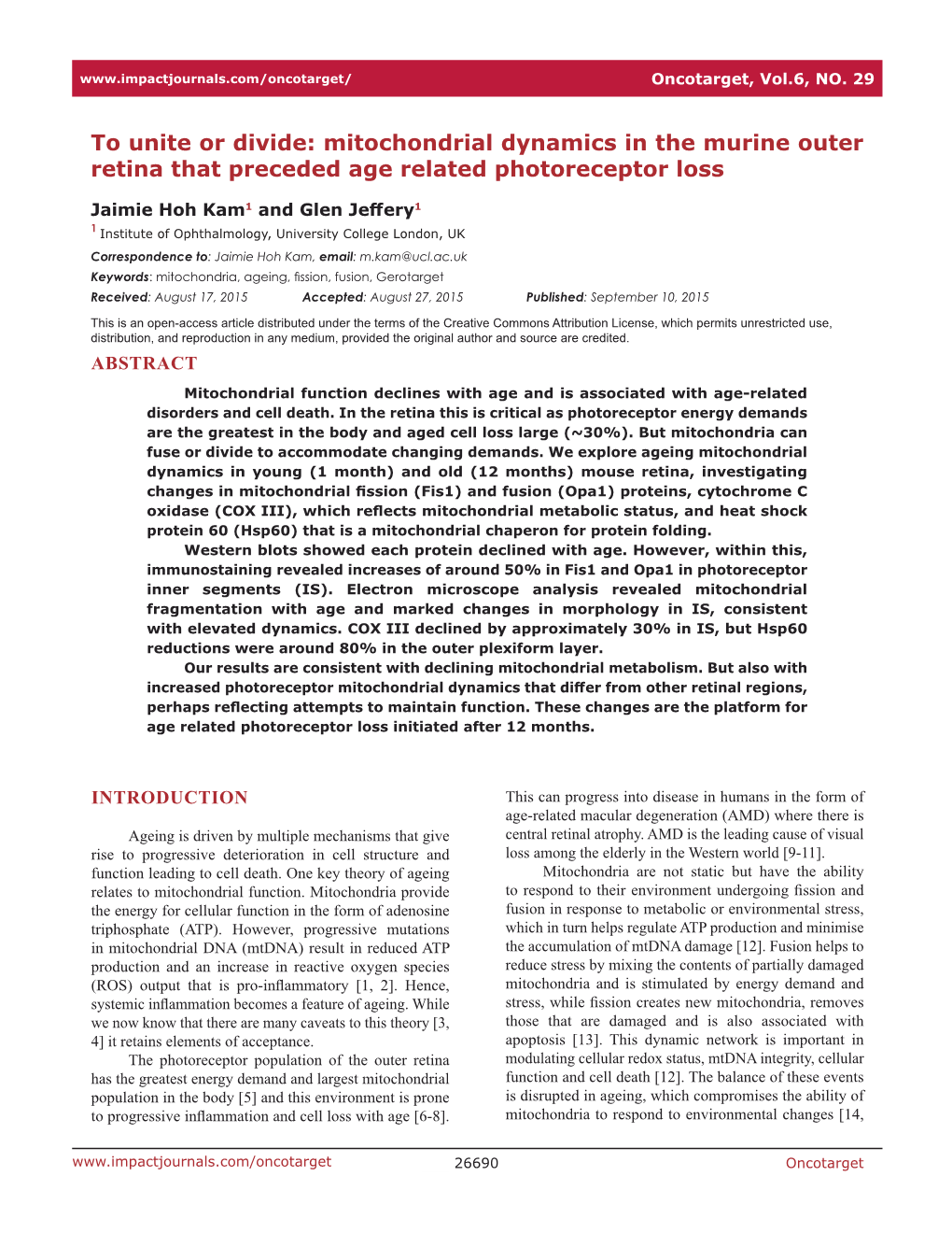 Mitochondrial Dynamics in the Murine Outer Retina That Preceded Age Related Photoreceptor Loss