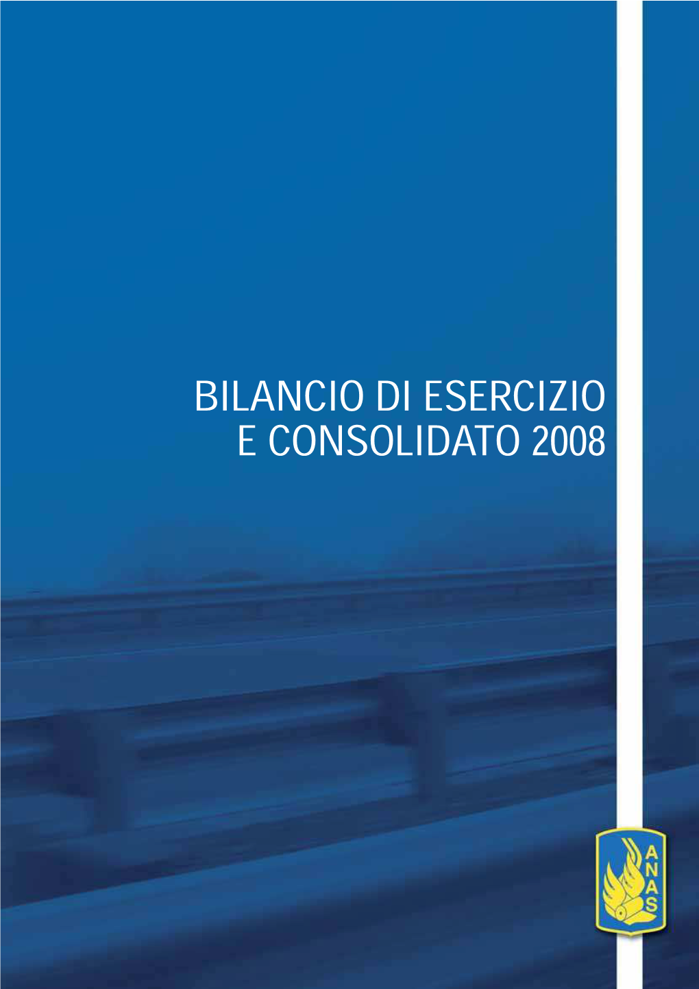 Bilancio Di Esercizio E Consolidato 2008