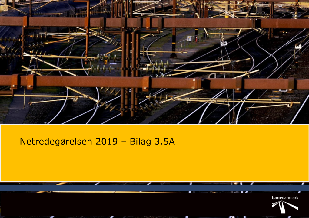 Netredegørelsen 2019 – Bilag 3.5A