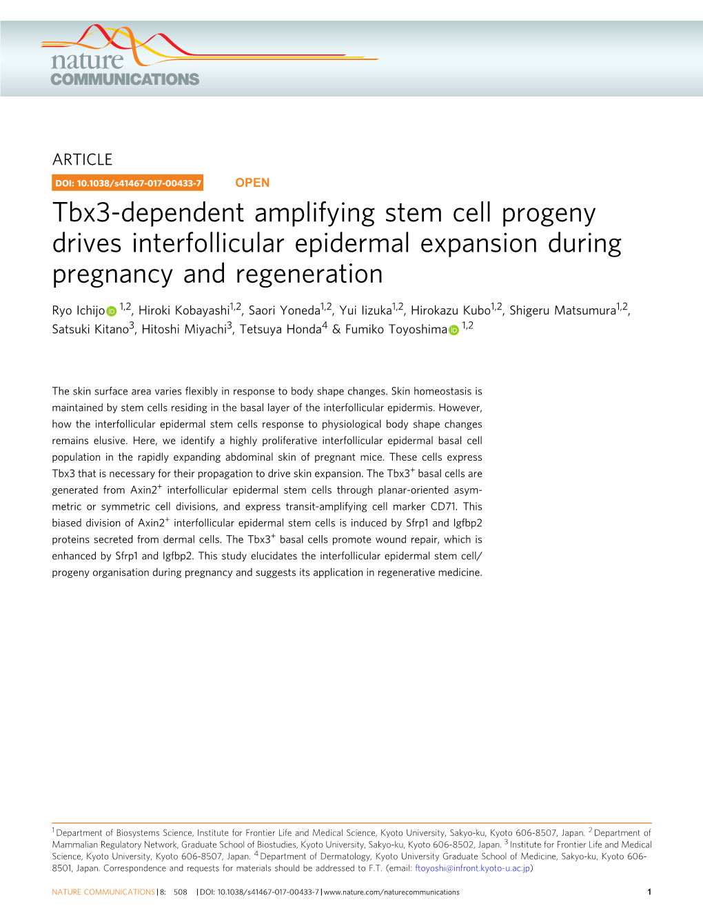 Tbx3-Dependent Amplifying Stem Cell Progeny Drives Interfollicular Epidermal Expansion During Pregnancy and Regeneration