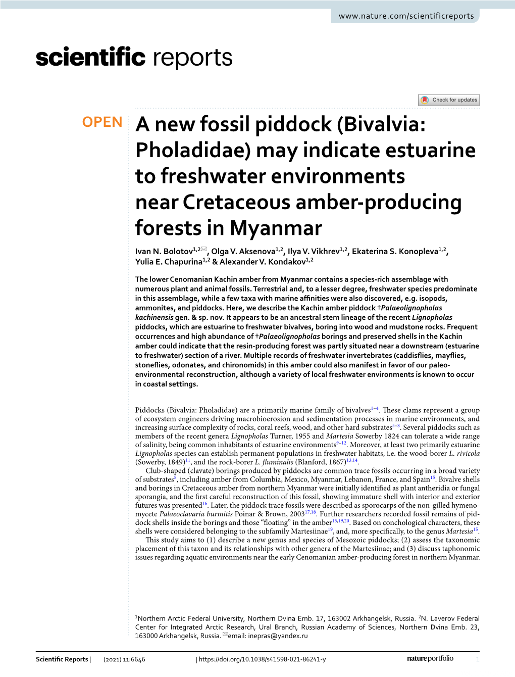 A New Fossil Piddock (Bivalvia: Pholadidae) May Indicate Estuarine to Freshwater Environments Near Cretaceous Amber-Producing Fo