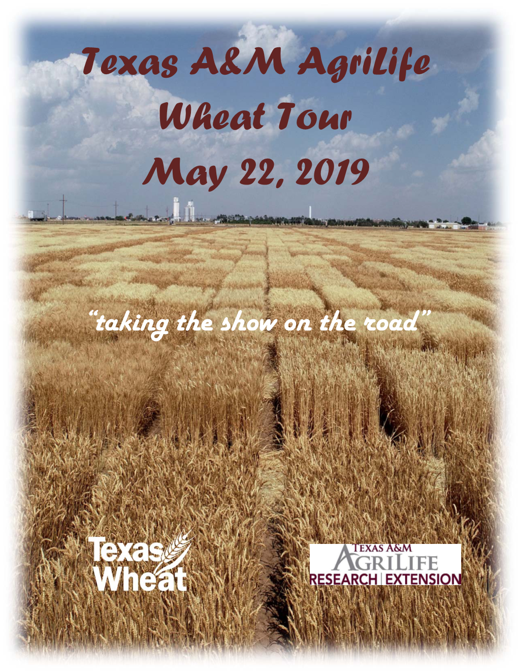 Texas A&M Agrilife Wheat Tour May 22, 2019