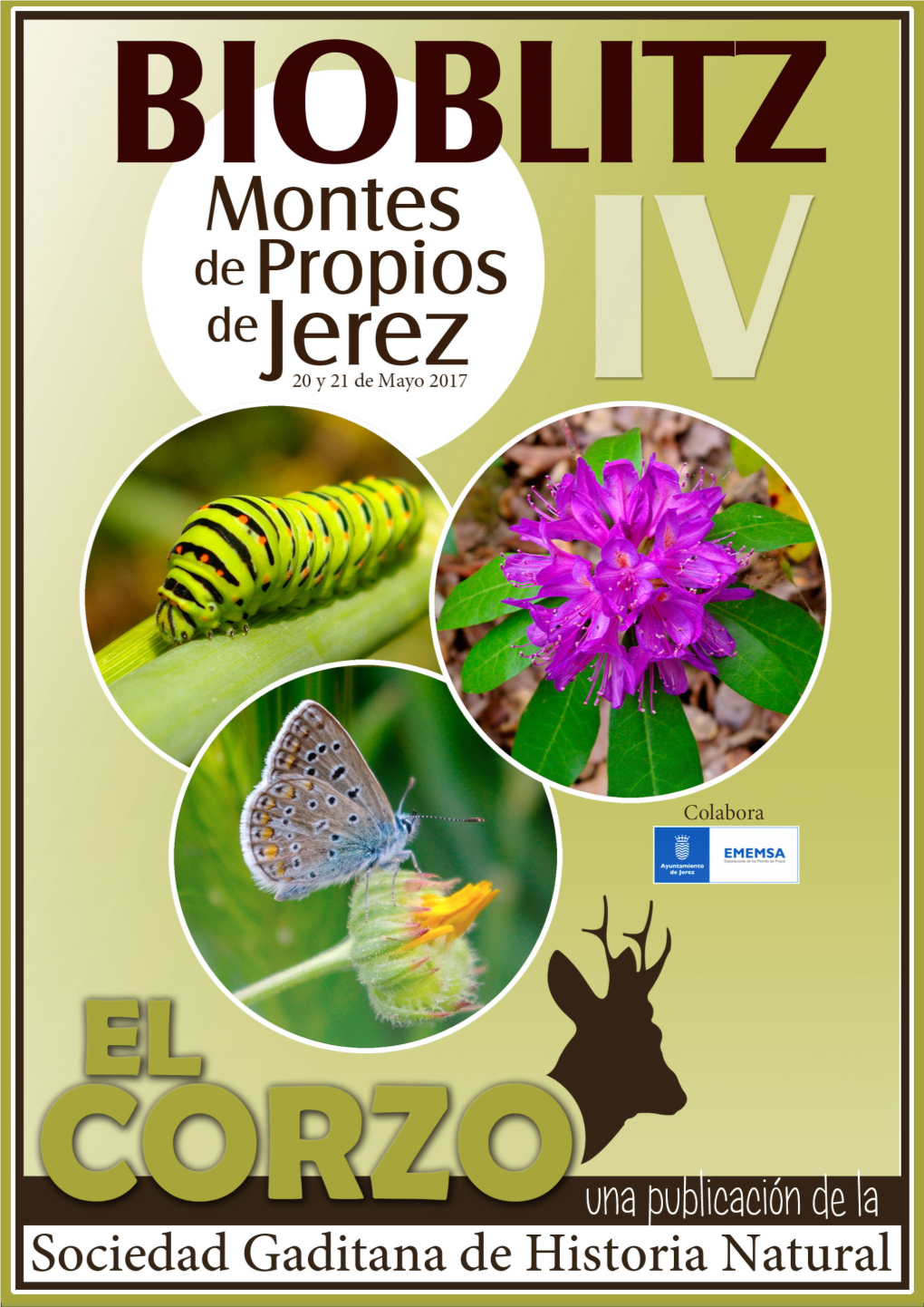 IV BIOBLITZ Montes De Propios De Jerez Bol.Soc.Gad.Hist.Nat