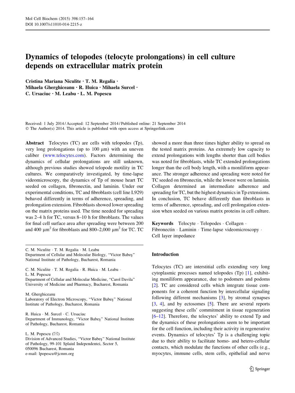 (Telocyte Prolongations) in Cell Culture Depends on Extracellular Matrix Protein