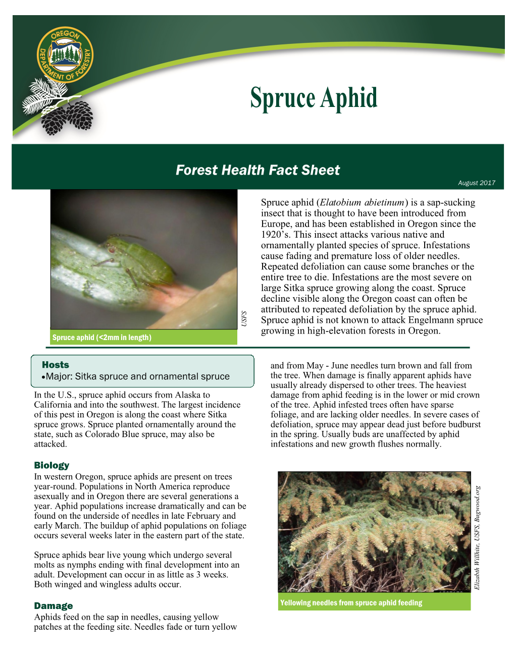 Spruce Aphid (Elatobium Abietinum) Is a Sap-Sucking Insect That Is Thought to Have Been Introduced from Europe, and Has Been Established in Oregon Since the 1920’S