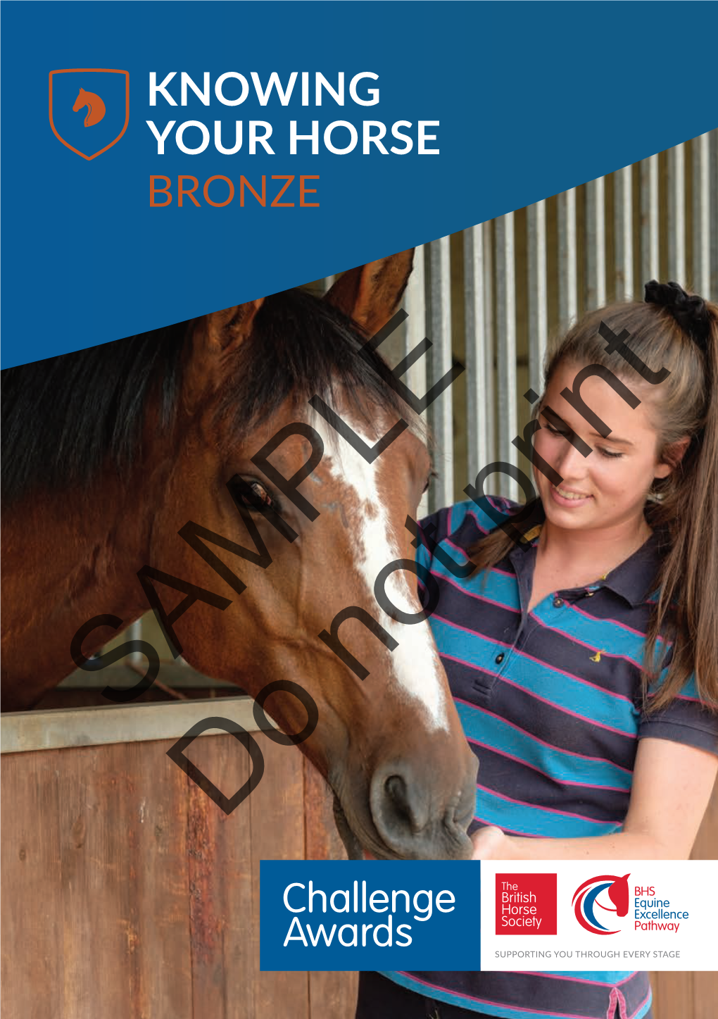Knowing Your Horse Bronze