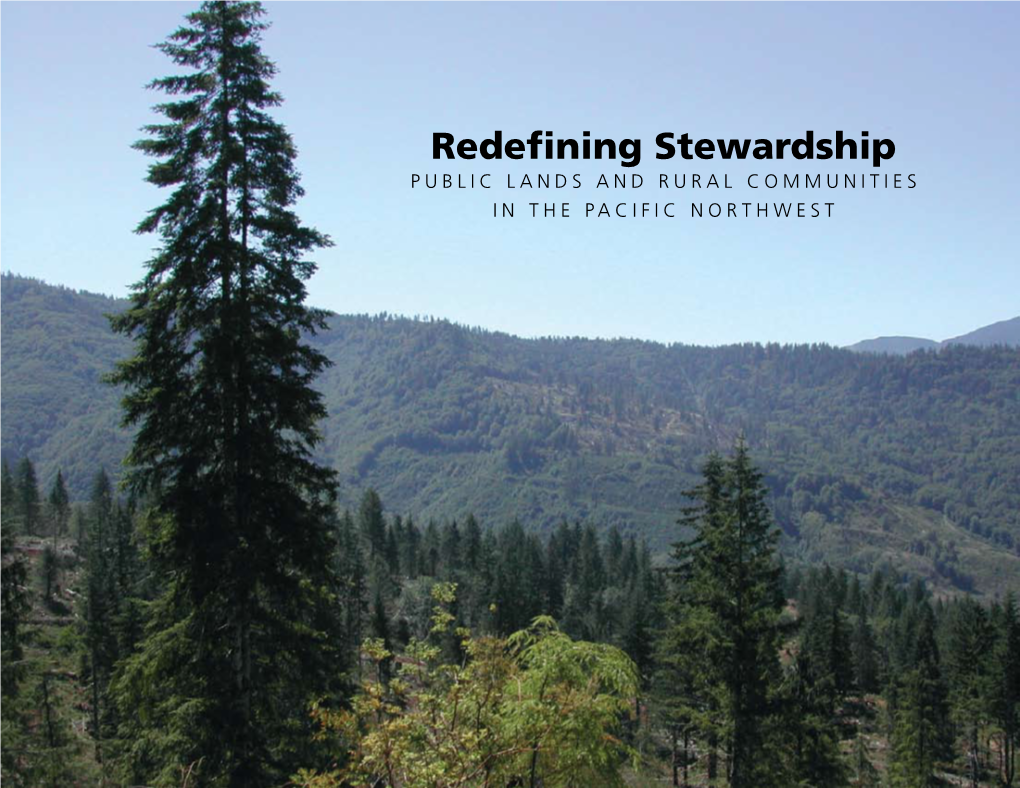 Redefining Stewardship