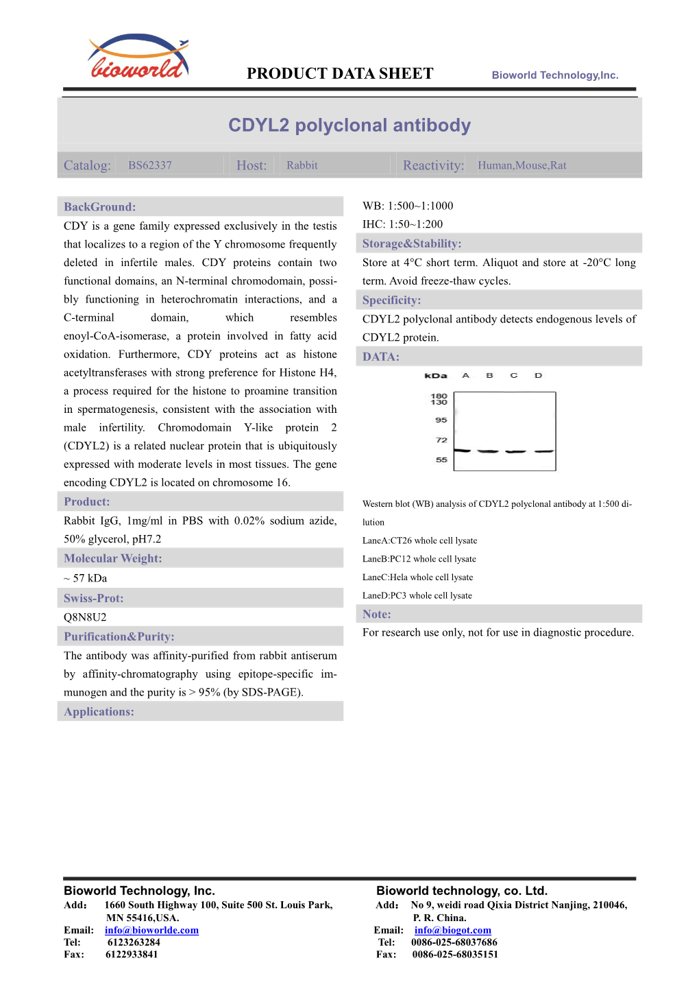 CDYL2 Polyclonal Antibody