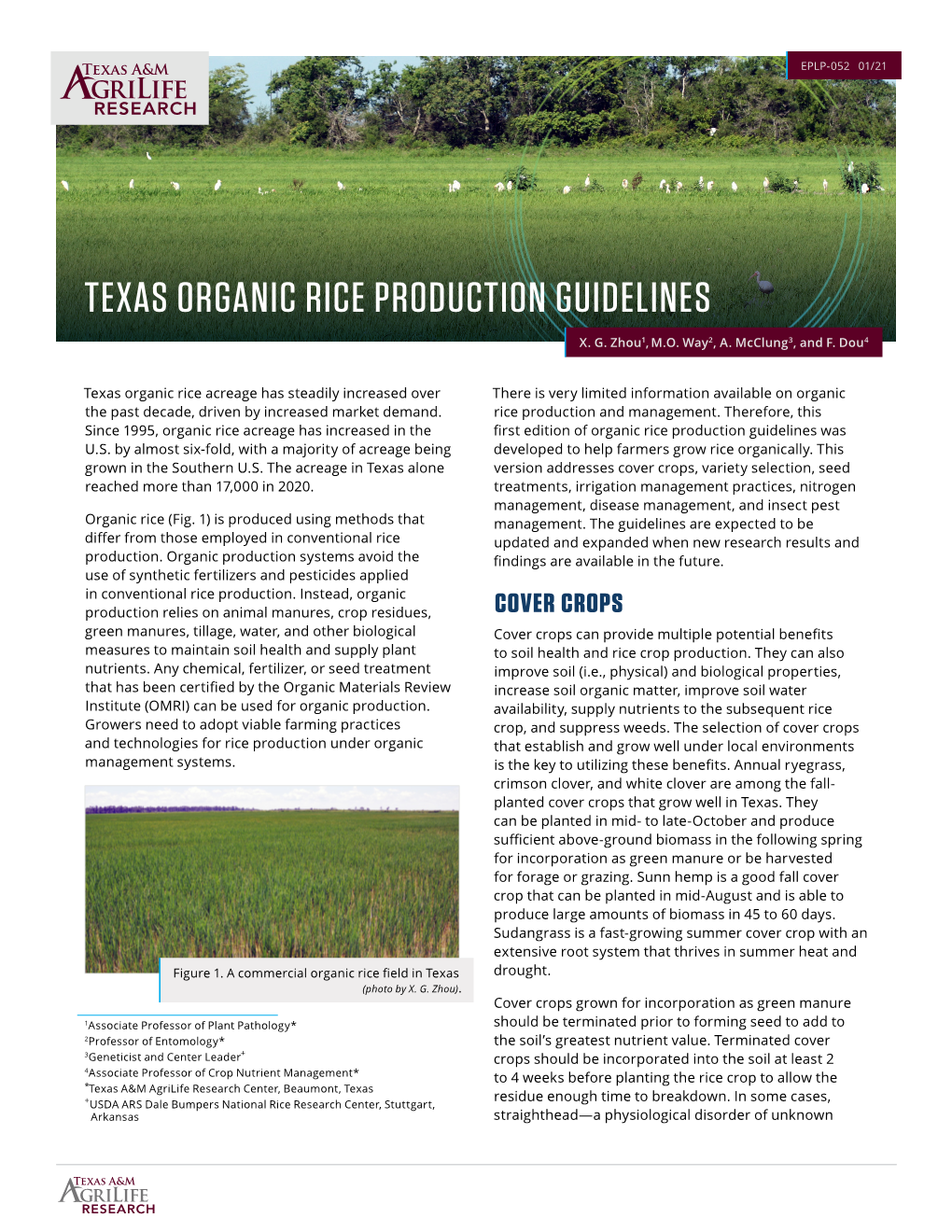 Texas Organic Rice Production Guidelines