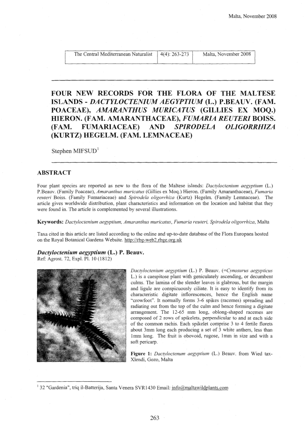 Four New Records for the Flora of the Maltese Islands - Dactyloctenium Aegyptium (L.) P.Beauv