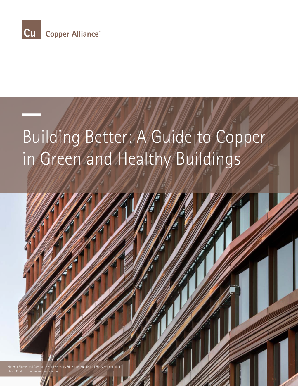 Building Better: a Guide to Copper in Green and Healthy Buildings