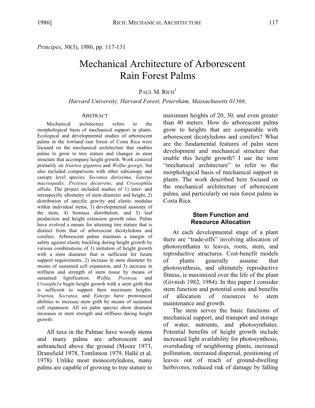 Mechanical Architecture of Arborescent Rain Forest Palms