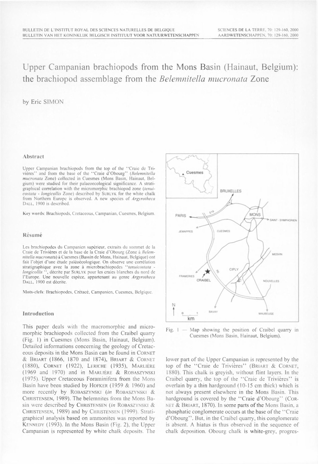 The Brachiopod Assemblage from the Belemnitella Mucronata Zone