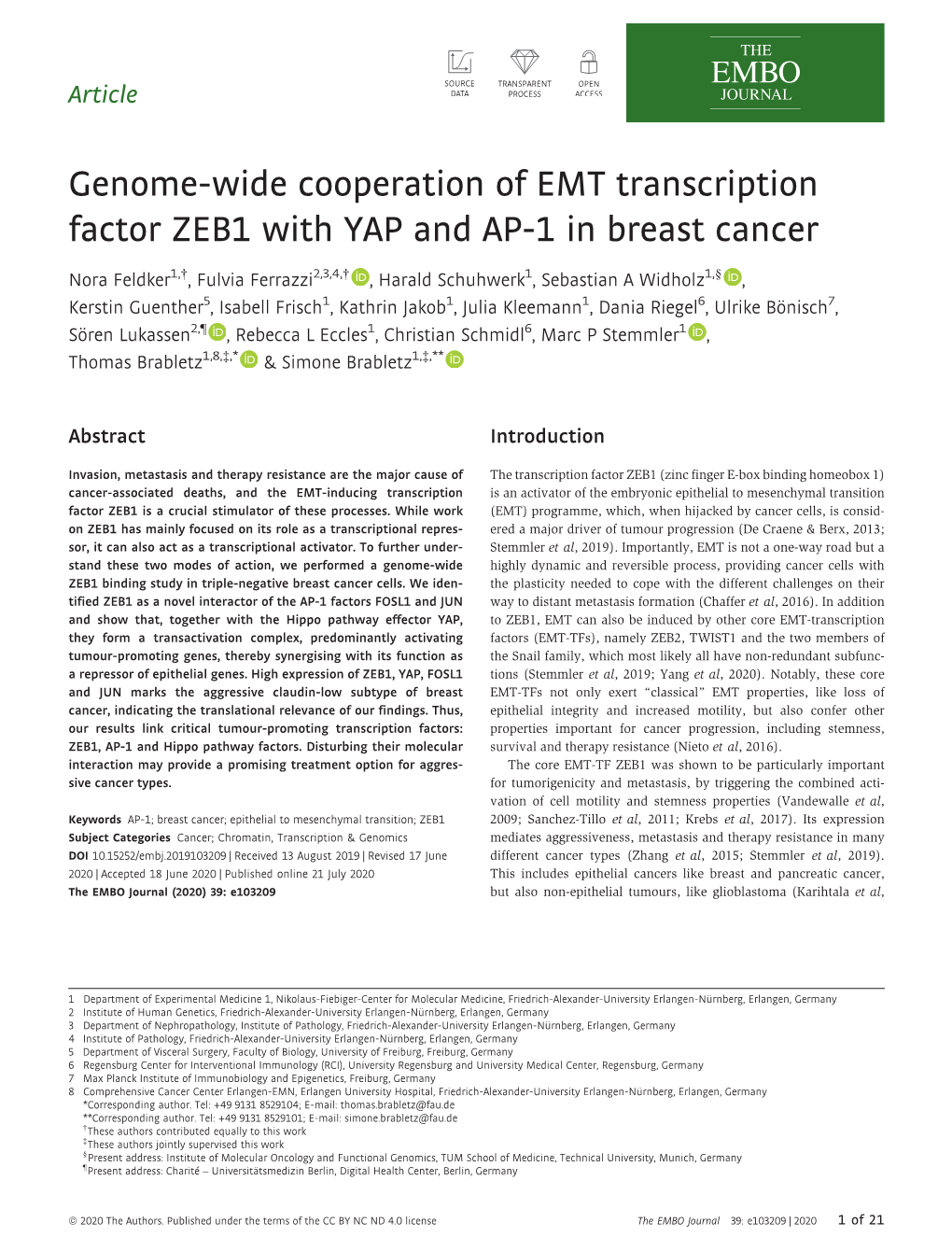 Genome‐Wide Cooperation of EMT Transcription Factor ZEB1 with YAP