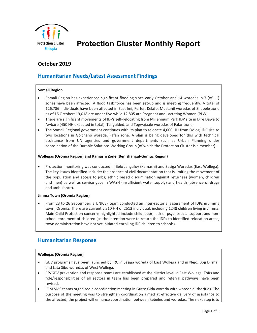 Protection Cluster Monthly Report October