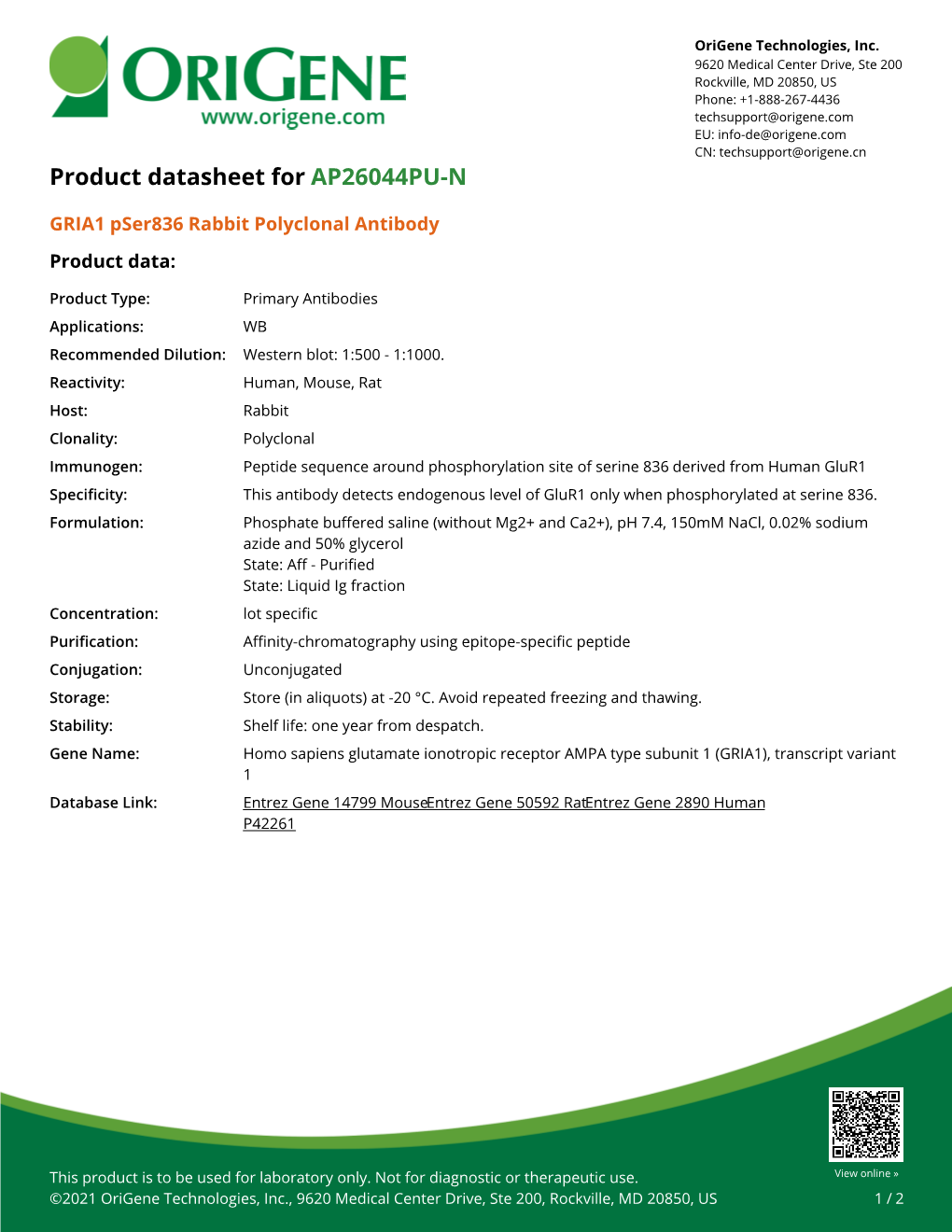 GRIA1 Pser836 Rabbit Polyclonal Antibody – AP26044PU-N | Origene