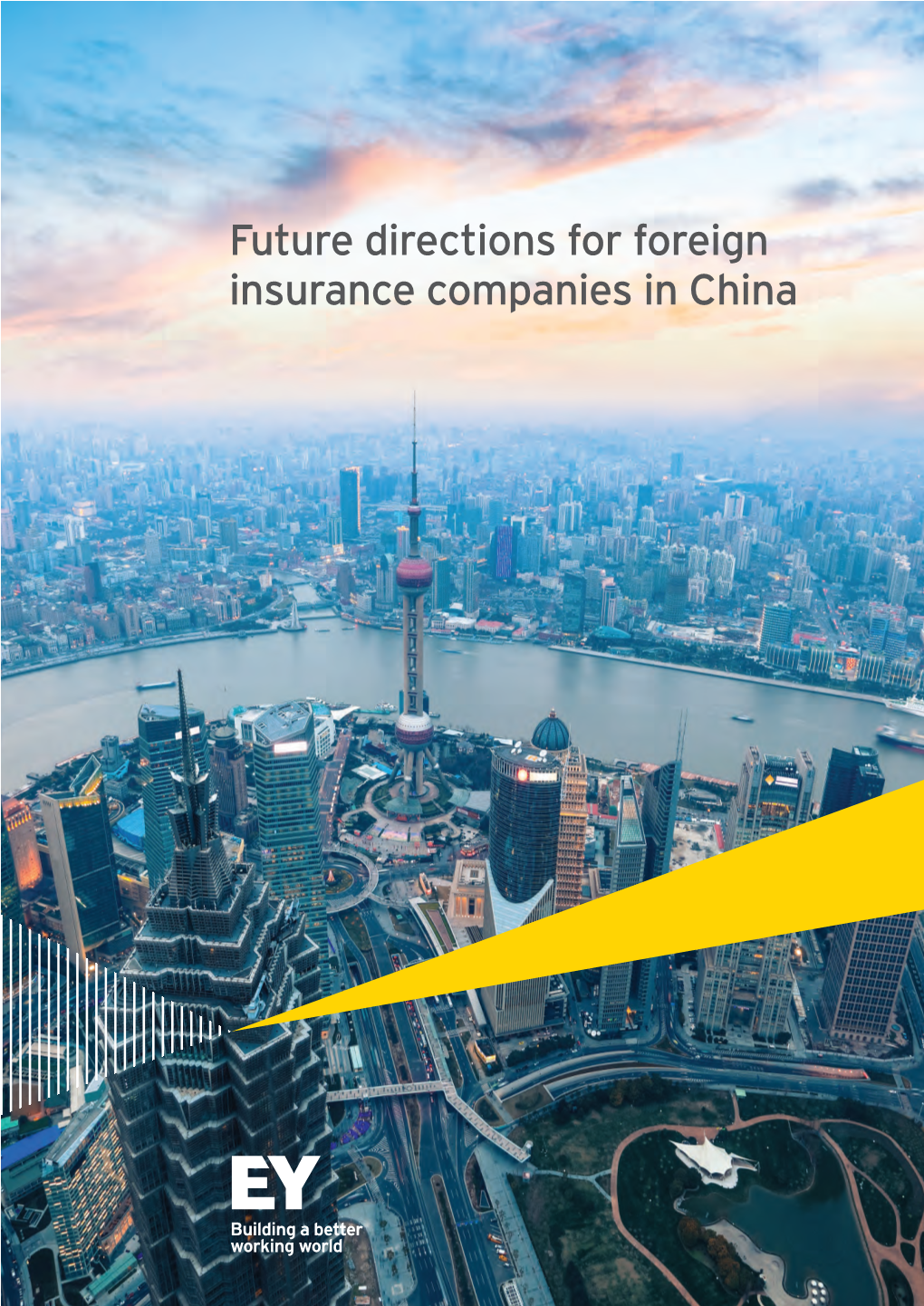 Future Directions for Foreign Insurance Companies in China Contents