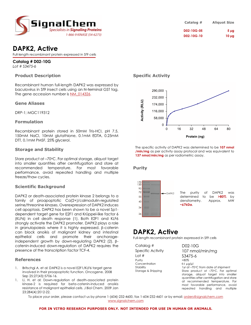DAPK2, Active Full-Length Recombinant Protein Expressed in Sf9 Cells