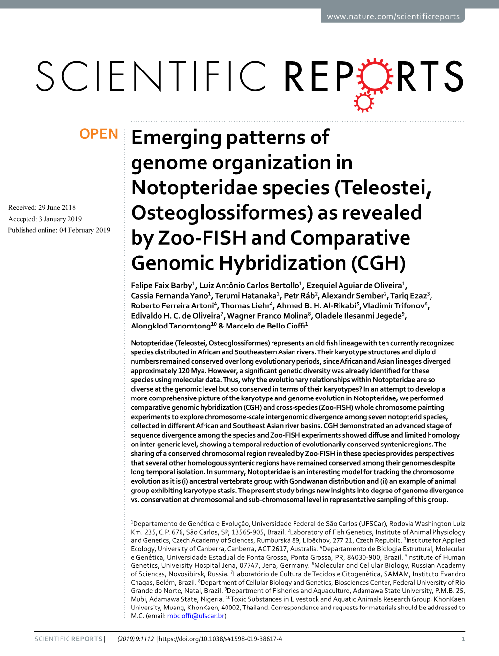 Emerging Patterns of Genome Organization in Notopteridae