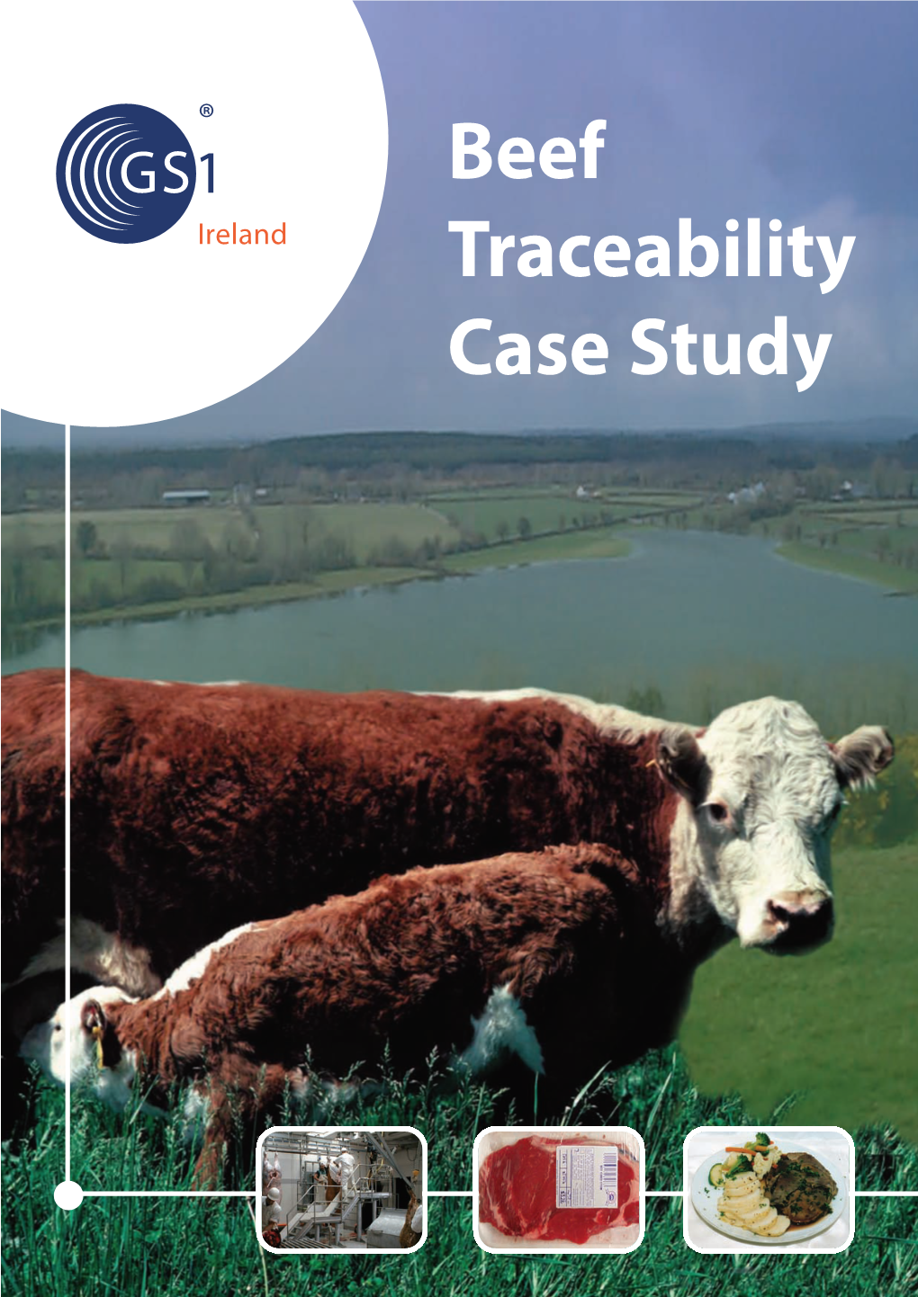 Beef Traceability Case Study TABLE of CONTENTS