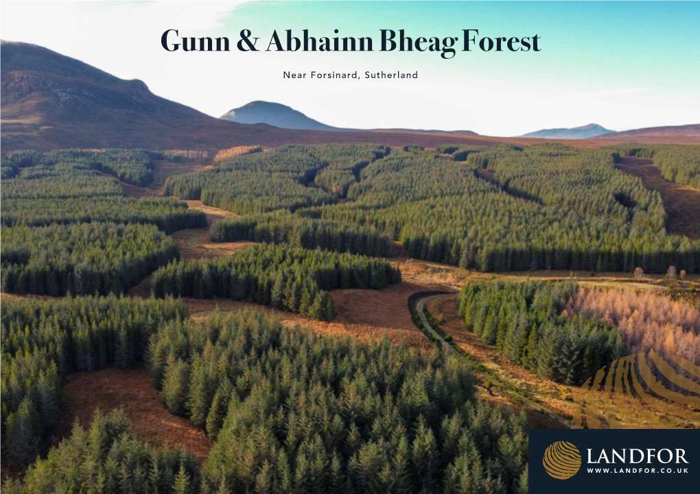 Gunn & Abhainn Bheag Forest
