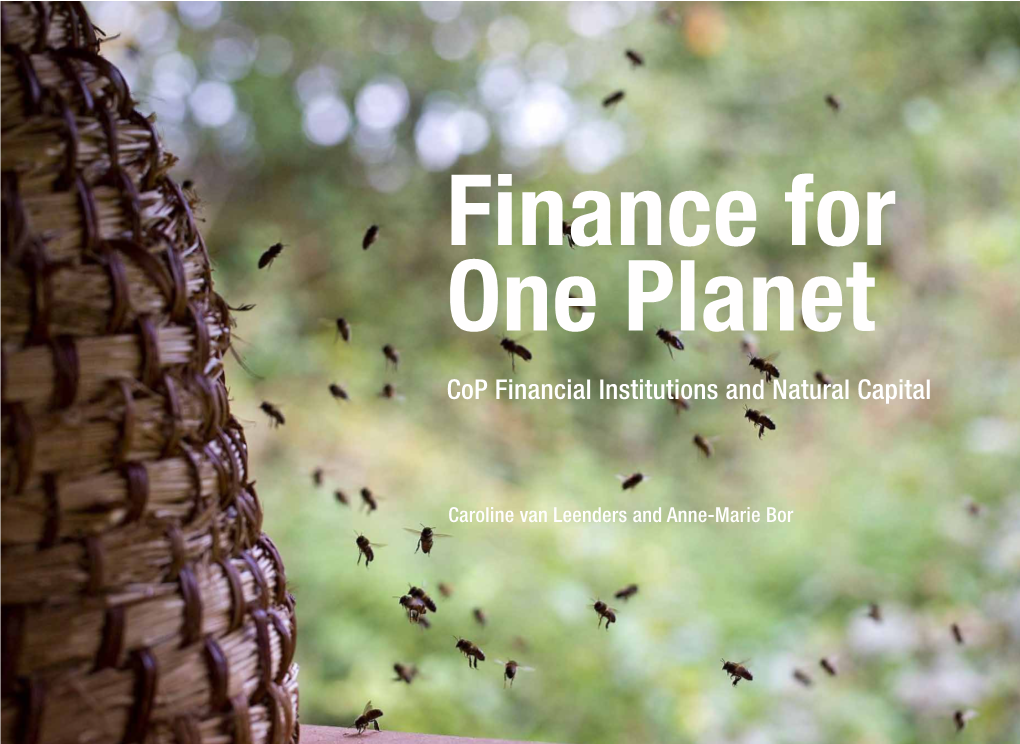 Cop Financial Institutions and Natural Capital