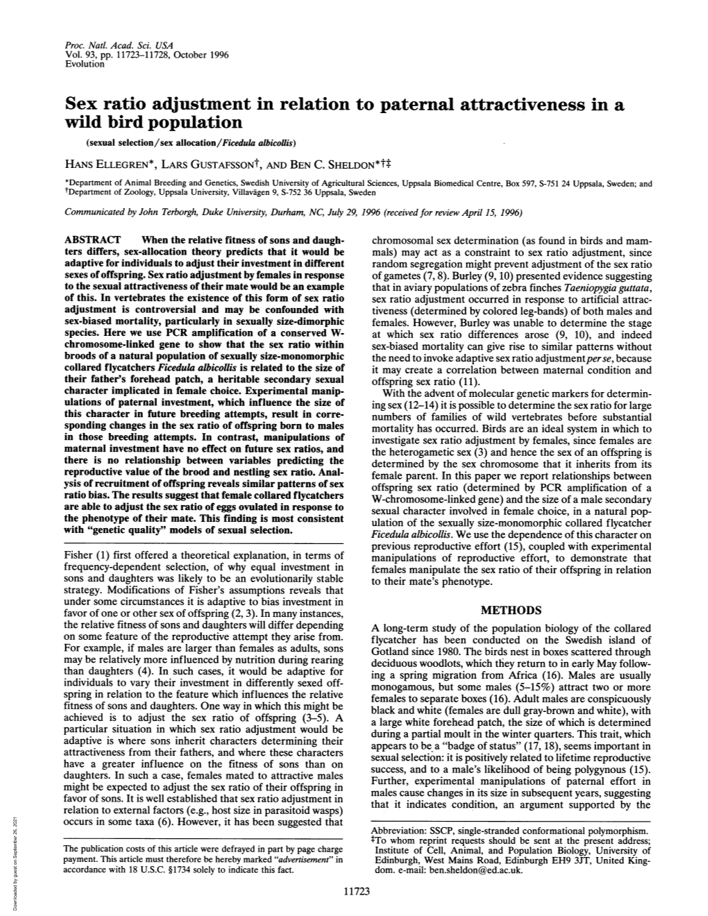 Sex Ratio Adjustmentin Relation to Paternal Attractiveness in A