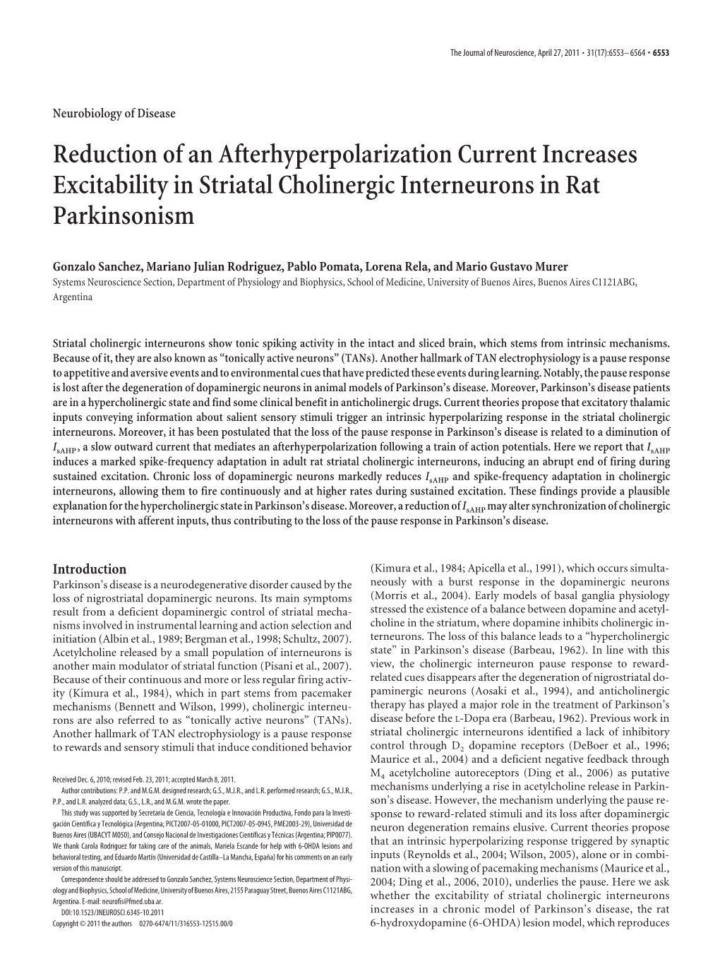 Reduction of an Afterhyperpolarization Current Increases Excitability in Striatal Cholinergic Interneurons in Rat Parkinsonism