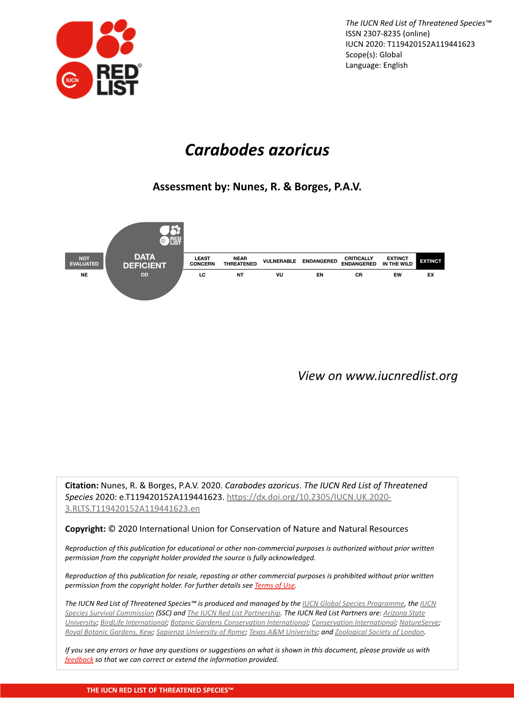 Carabodes Azoricus