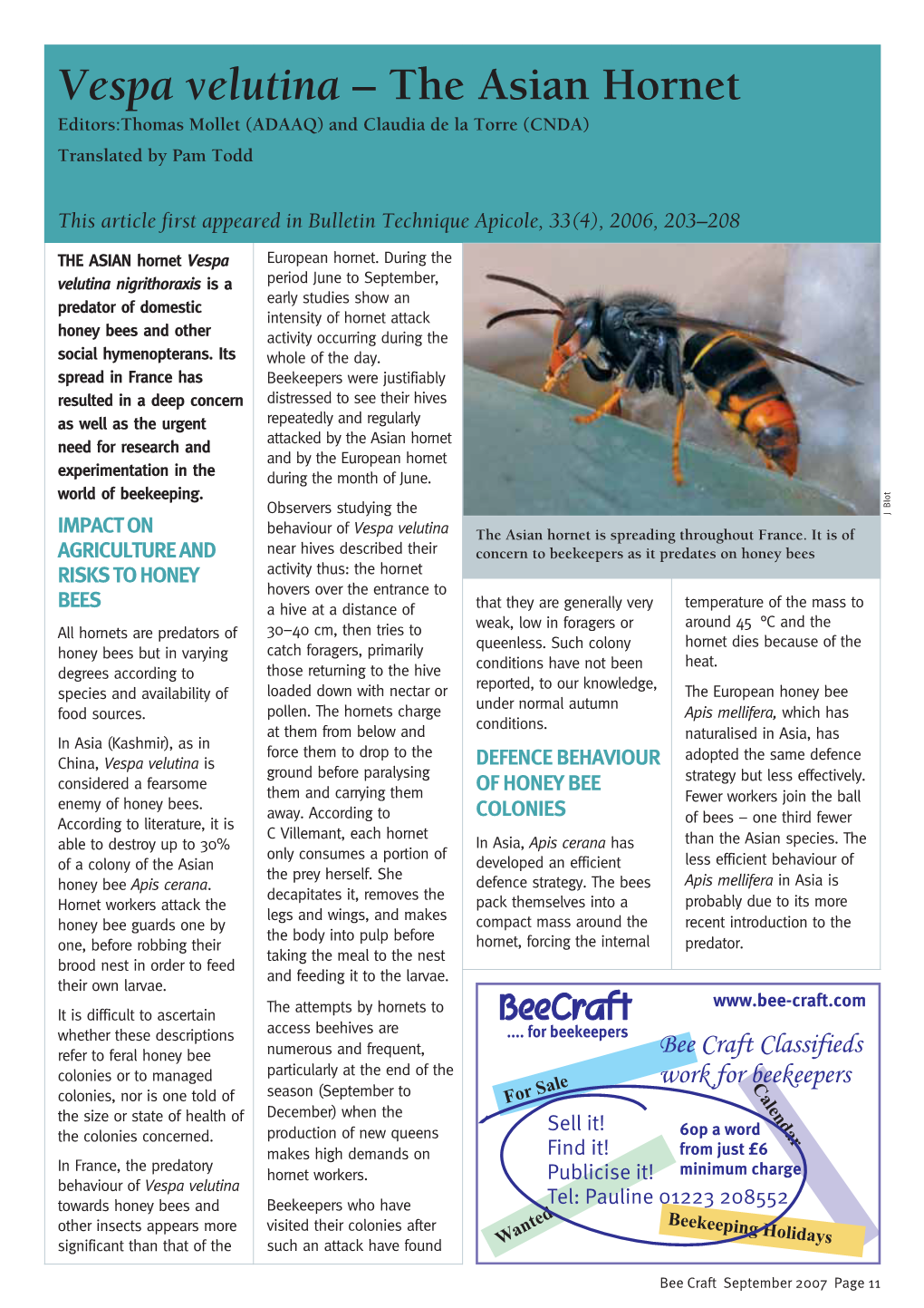 Vespa Velutina – the Asian Hornet Editors:Thomas Mollet (ADAAQ) and Claudia De La Torre (CNDA) Translated by Pam Todd